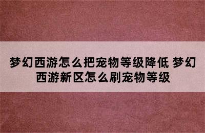 梦幻西游怎么把宠物等级降低 梦幻西游新区怎么刷宠物等级